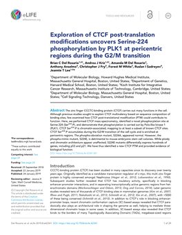 Exploration of CTCF Post-Translation Modifications Uncovers Serine-224 Phosphorylation by PLK1 at Pericentric Regions During