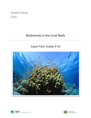 Biodiversity in the Coral Reefs