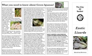 Nile Monitor & Iguana Lizard Educational Brochure