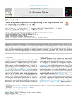 Dnmt1 Is Required for Proximal-Distal Patterning of the Lung Endoderm and for Restraining Alveolar Type 2 Cell Fate