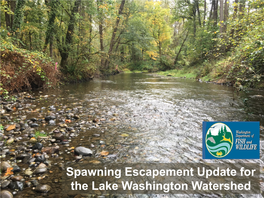 Spawning Escapement Update for the Lake Washington Watershed Seattle Public Utilities