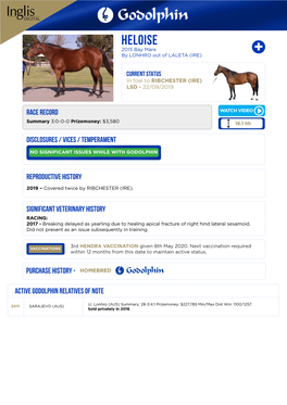 Bay Mare Foaled 2015