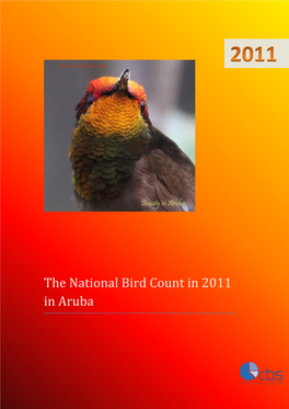 Findings of the 1St National Bird Count in Aruba