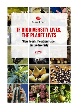 IF BIODIVERSITY LIVES, the PLANET LIVES Slow Food’S Position Paper on Biodiversity