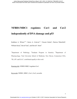 NFBD1/MDC1 Regulates Cav1 and Cav2 Independently of DNA Damage and P53