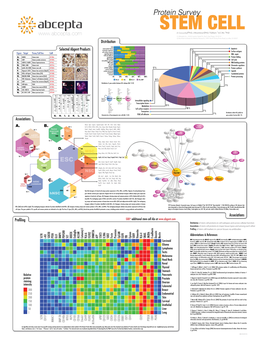 Stem Cells Ap7609a Protein Synthesis 17 % Protein Synthesis Protein Folding 4 % F