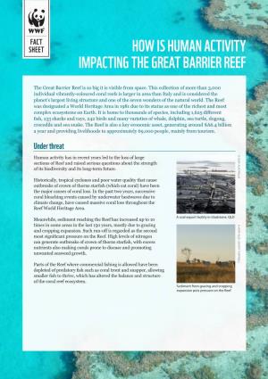 Fact Sheet: How Is Human Activity Impacting the Great Barrier Reef