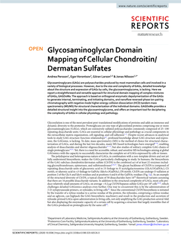 Glycosaminoglycan Domain Mapping of Cellular Chondroitin/Dermatan
