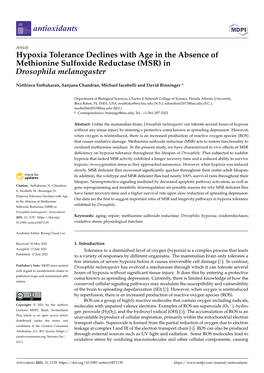 Hypoxia Tolerance Declines with Age in the Absence of Methionine Sulfoxide Reductase (MSR) in Drosophila Melanogaster