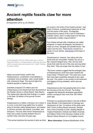 Ancient Reptile Fossils Claw for More Attention 29 September 2016, by Jim Shelton