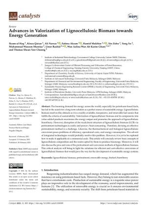 Advances in Valorization of Lignocellulosic Biomass Towards Energy Generation