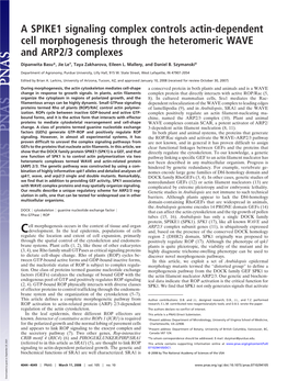 A SPIKE1 Signaling Complex Controls Actin-Dependent Cell Morphogenesis Through the Heteromeric WAVE and ARP2/3 Complexes