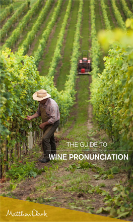 Wine Pronunciation