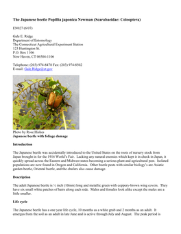 The Japanese Beetle Popillia Japonica Newman (Scarabaeidae: Coleoptera)