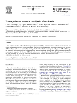 Tropomyosins Are Present in Lamellipodia of Motile Cells Louise Hillberga,1, Li-Sophie Zhao Rathjea,1, Maria Nyakern-Meazza( A, Brian Helfandb, Robert D