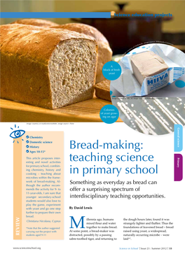 Bread-Making: Teaching Science in Primary School