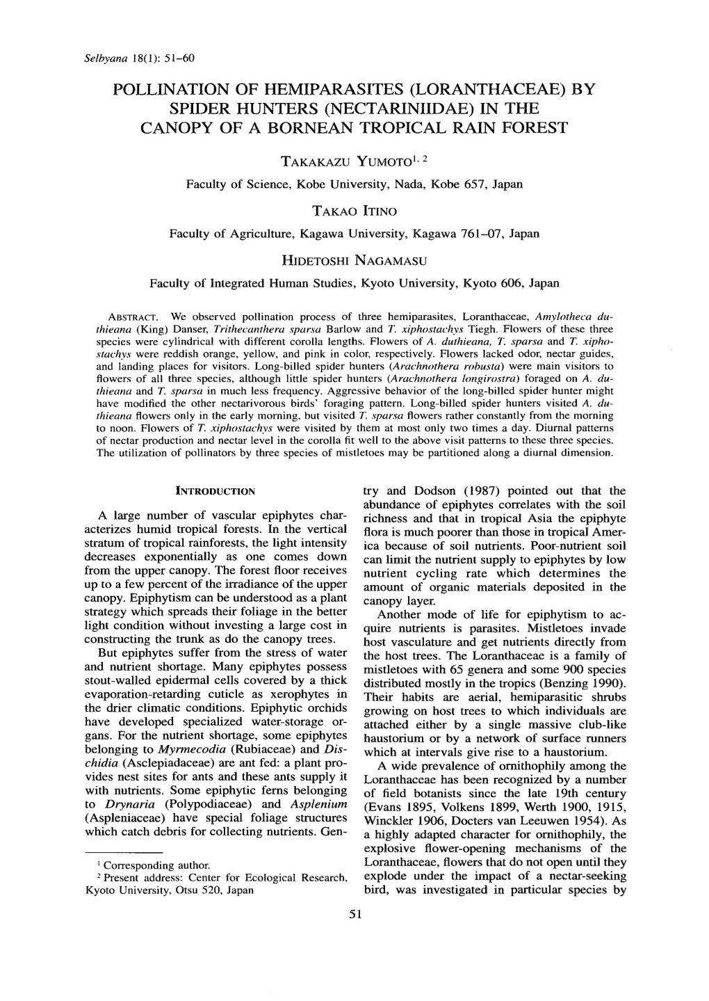 Pollination of Hemiparasites (Loranthaceae) by Spider Hunters (Nectariniidae) in the Canopy of a Bornean Tropical Rain Forest