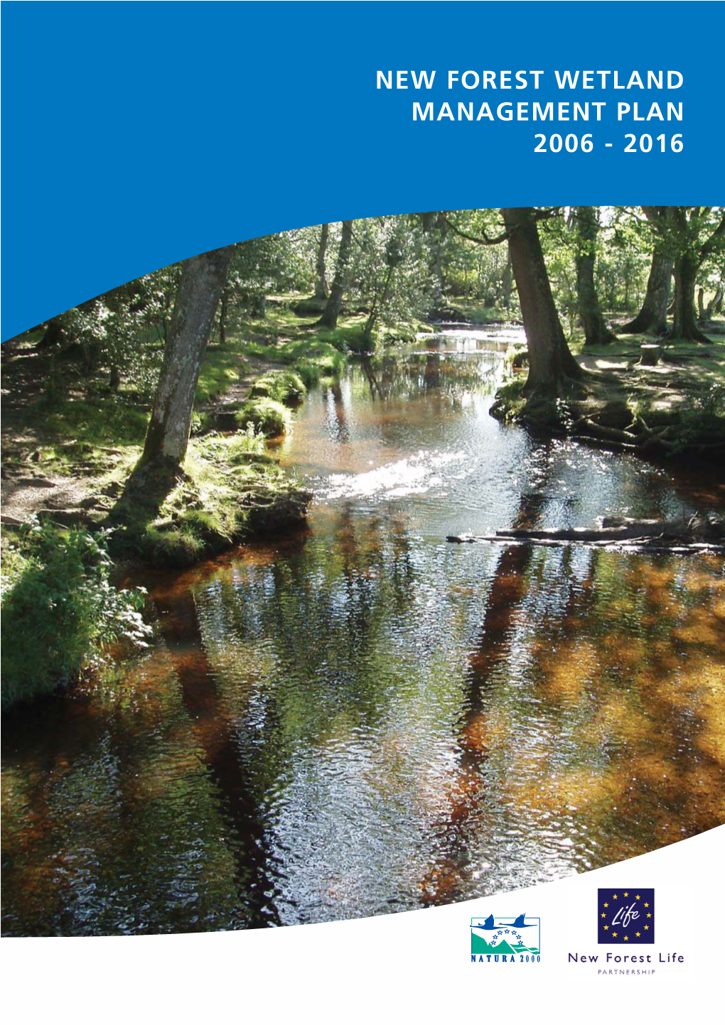 New Forest Wetland Management Plan 2006