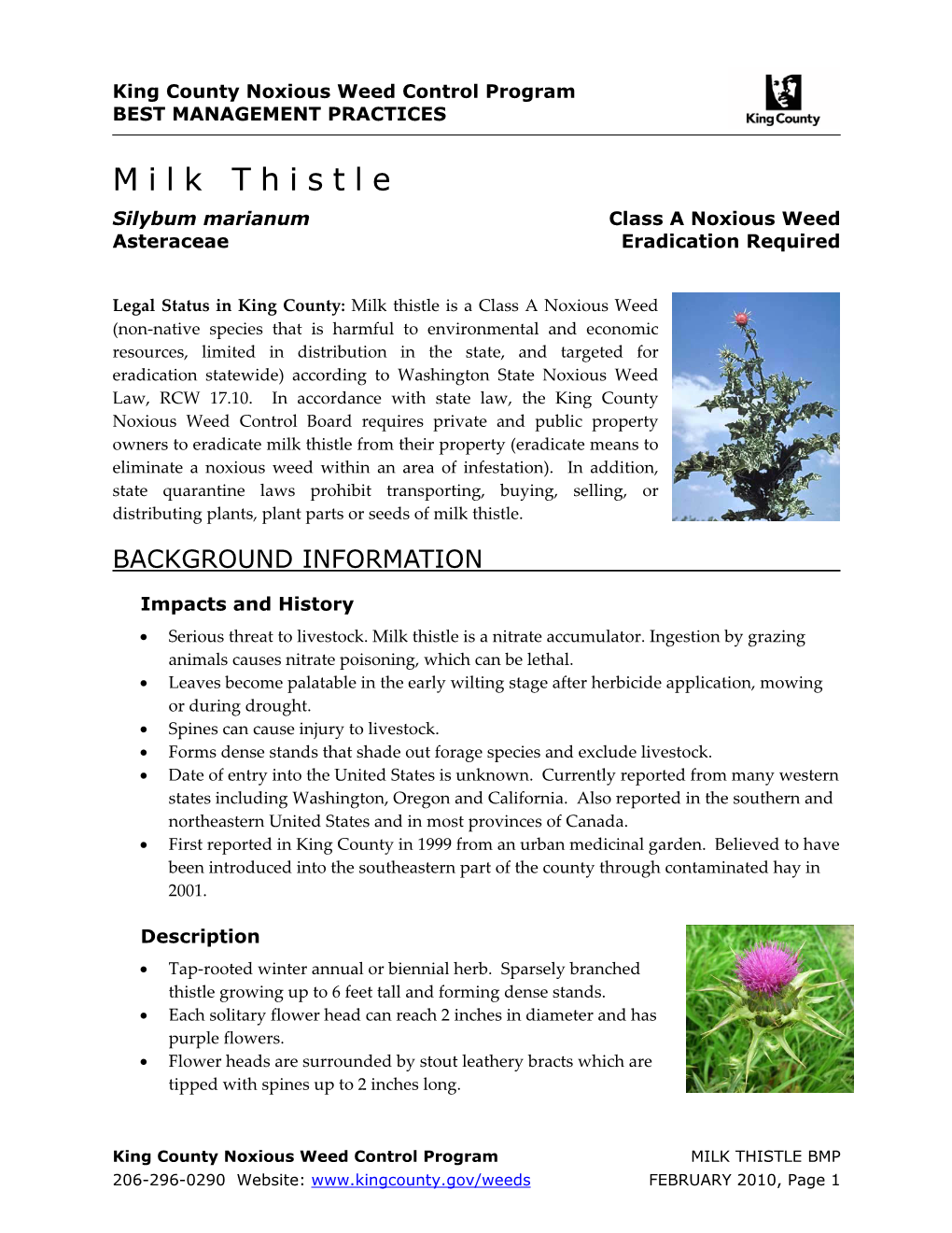 Control Options for Milk Thistle