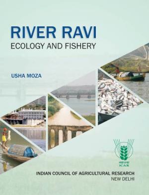 River Ravi Ecology and Fishery