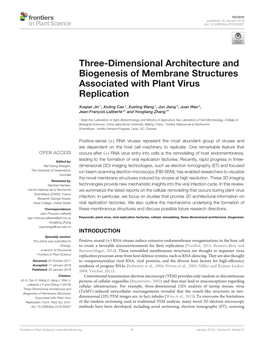 Three-Dimensional Architecture and Biogenesis of Membrane Structures Associated with Plant Virus Replication