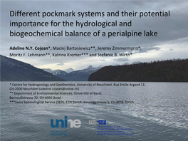 Different Pockmark Systems and Their Potential Importance for the Hydrological and Biogeochemical Balance of a Perialpine Lake