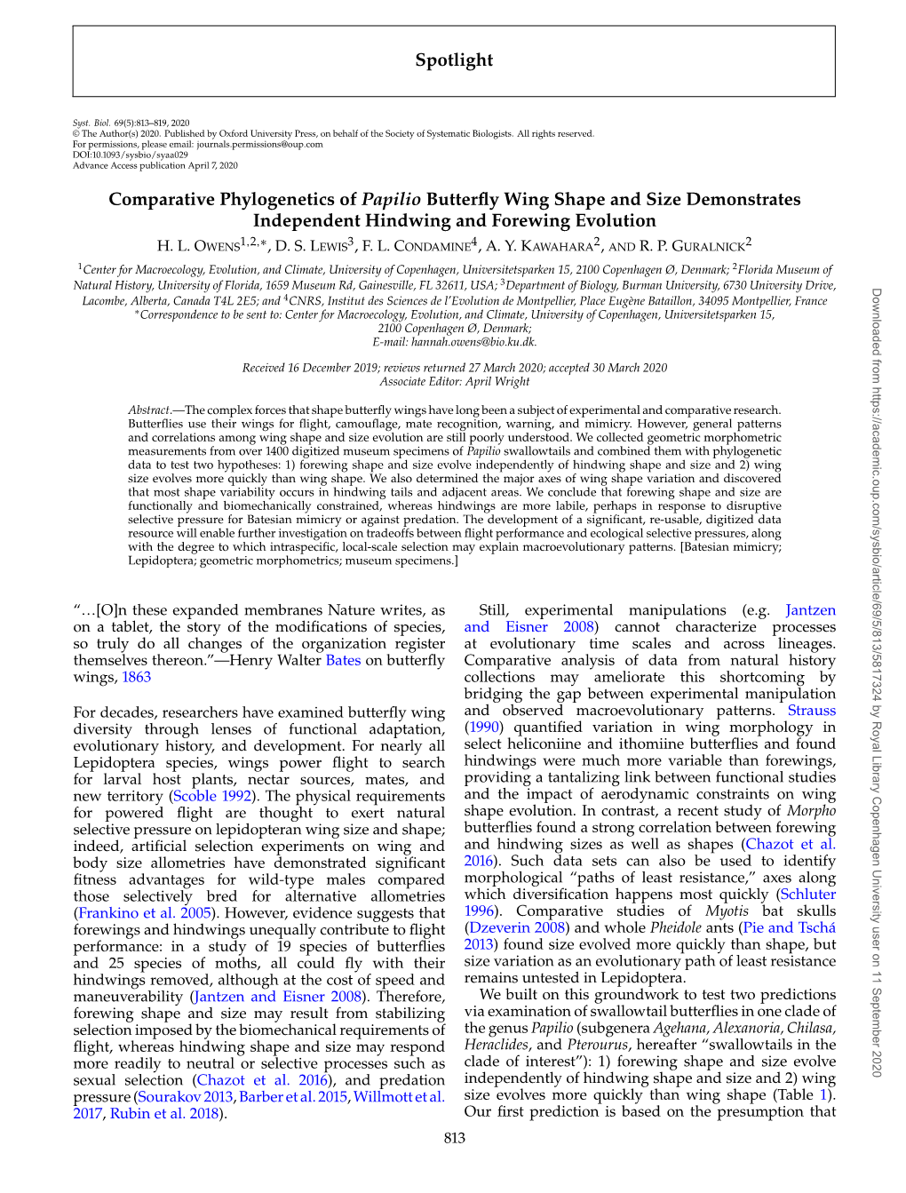 Spotlight Comparative Phylogenetics of Papilio