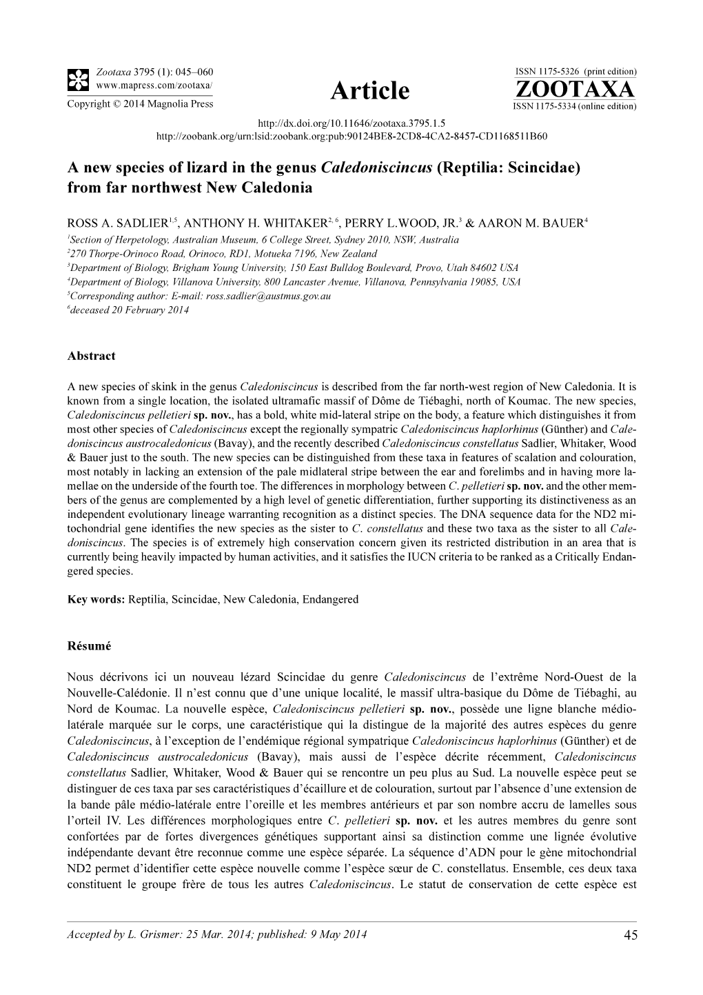 A New Species of Lizard in the Genus Caledoniscincus (Reptilia: Scincidae) from Far Northwest New Caledonia