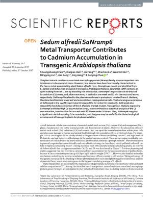 Sedum Alfredii Sanramp6 Metal Transporter Contributes to Cadmium Accumulation in Transgenic Arabidopsis Thaliana
