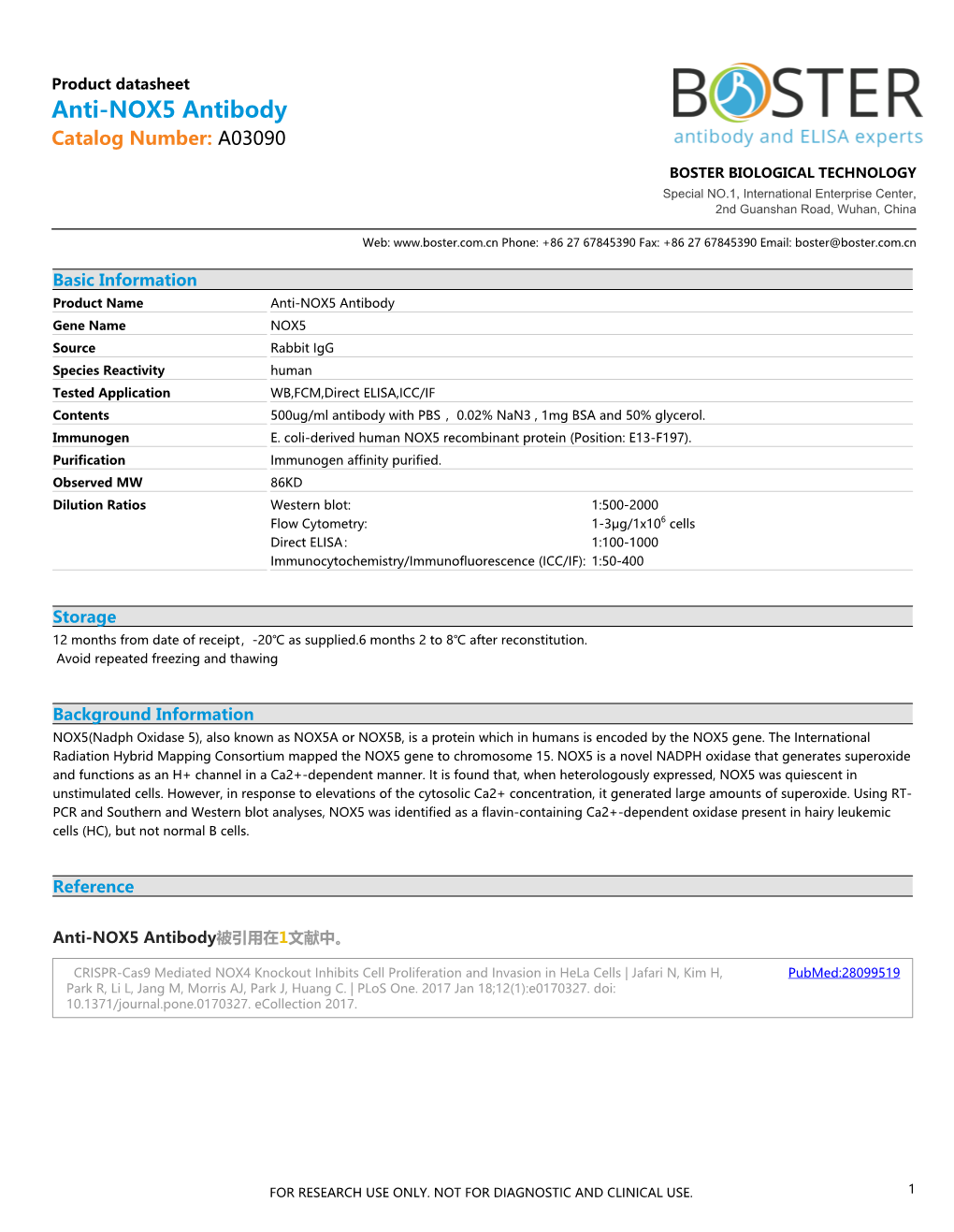 Datasheet A03090 Anti-NOX5 Antibody