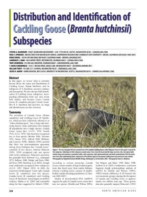 Cackling Goose, Branta Hutchinsii, and Its Subspecies: B
