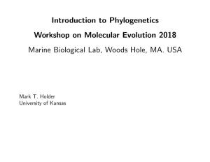 Introduction to Phylogenetics Workshop on Molecular Evolution 2018 Marine Biological Lab, Woods Hole, MA