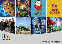 2019 Brand Portfolio