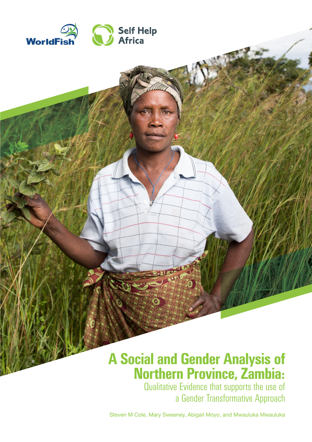 A Social and Gender Analysis of Northern Province, Zambia: Qualitative Evidence That Supports the Use of a Gender Transformative Approach