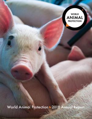 World Animal Protection 2018 Annual Report a Message from the Executive Director