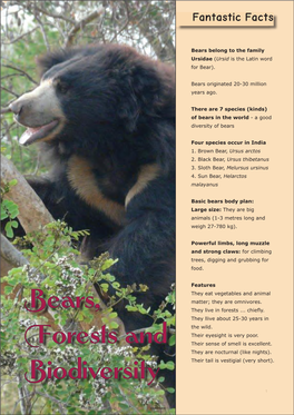 Bears, Forests and Biodiversity