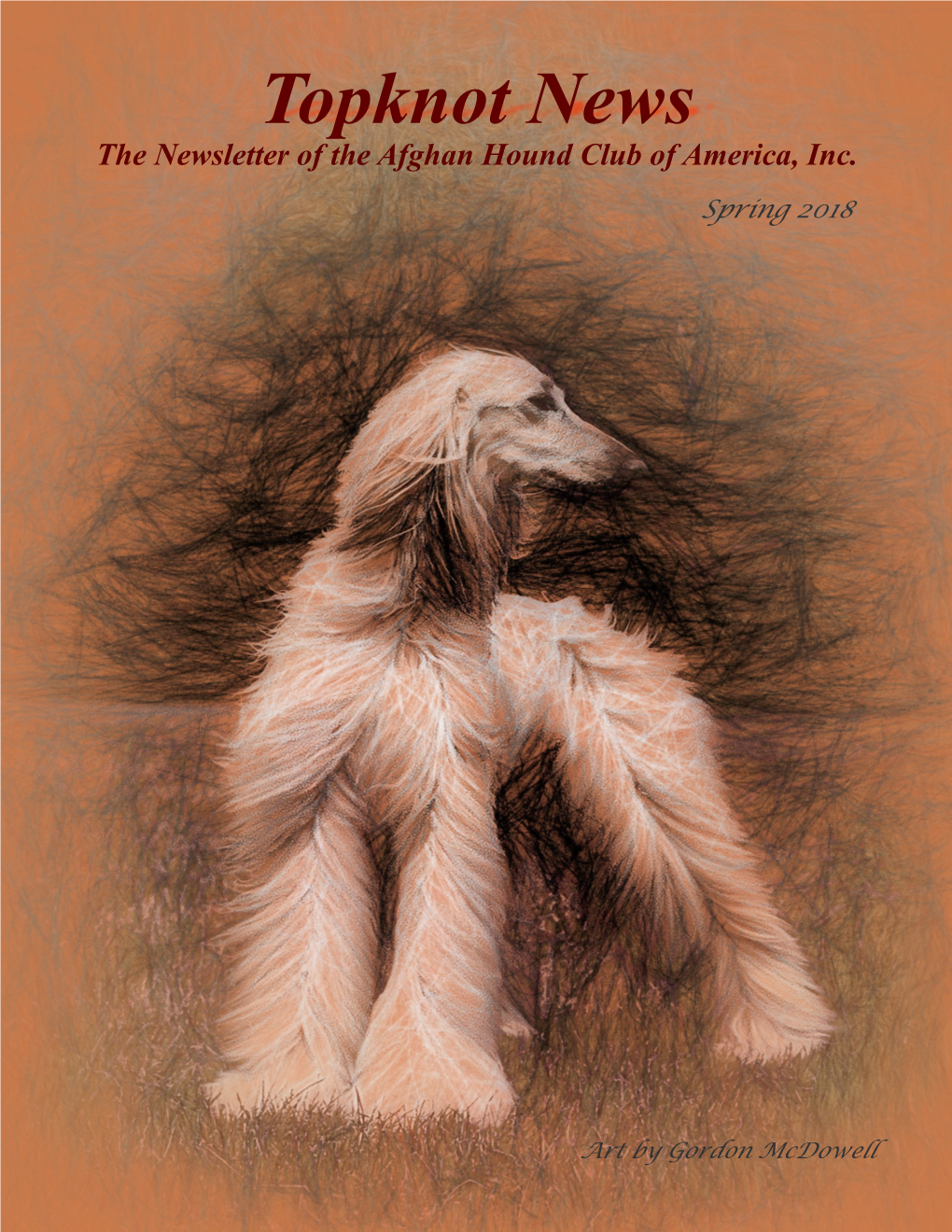 Topknot News the Newsletter of the Afghan Hound Club of America, Inc