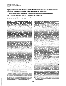 Agrobacterium Tumefaciens-Mediated Transformation of Arabidopsis