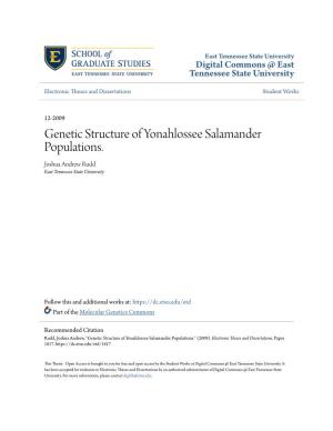 Genetic Structure of Yonahlossee Salamander Populations. Joshua Andrew Rudd East Tennessee State University