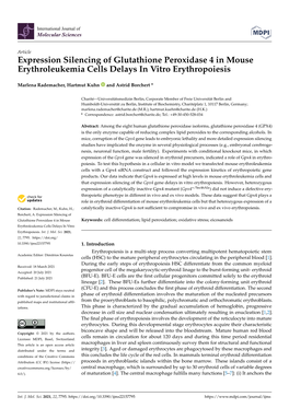 Expression Silencing of Glutathione Peroxidase 4 in Mouse Erythroleukemia Cells Delays in Vitro Erythropoiesis