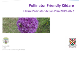 Pollinator Friendly Kildare Kildare Pollinator Action Plan 2019-2022