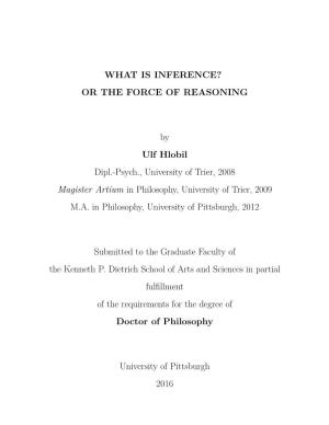What Is Inference? Penalty