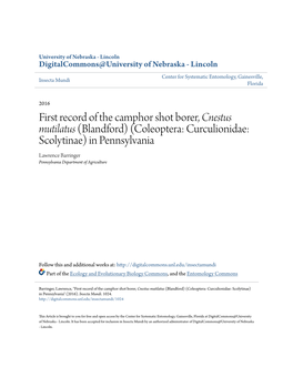 First Record of the Camphor Shot Borer, &lt;I&gt;Cnestus Mutilatus&lt;/I&gt; (Blandford) (Coleoptera: Curculionidae: Scolytinae)