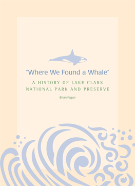 “Where We Found a Whale”