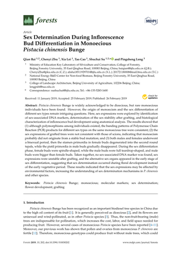 Sex Determination During Inflorescence Bud Differentiation In