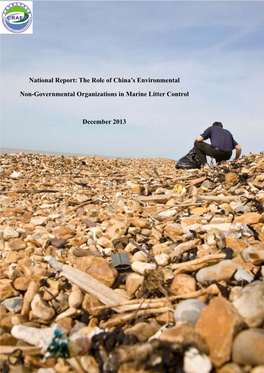 National Report: the Role of China's Environmental Non-Governmental