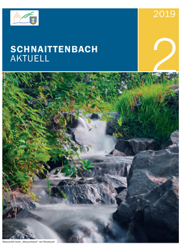 2019 Schnaittenbach Aktuell März + April 2019 17