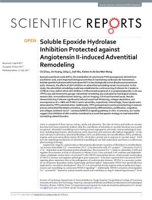 Soluble Epoxide Hydrolase Inhibition Protected Against Angiotensin II