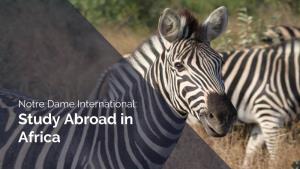 Notre Dame International: Study Abroad in Africa HELLO! Laura Stipic Associate Director of Study Abroad