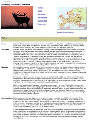 Red Deer (Cervus Elaphus) Fact Sheet Biology